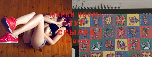 спиды Новозыбков