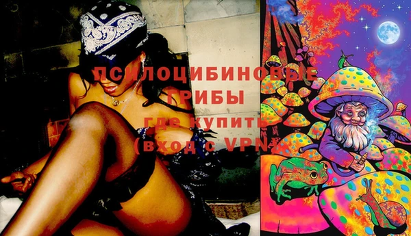 спиды Новозыбков