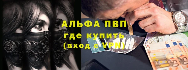 спиды Новозыбков