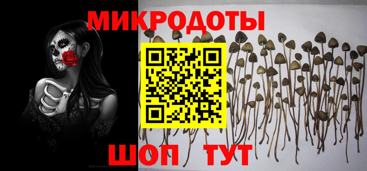 Псилоцибиновые грибы Cubensis Отрадное