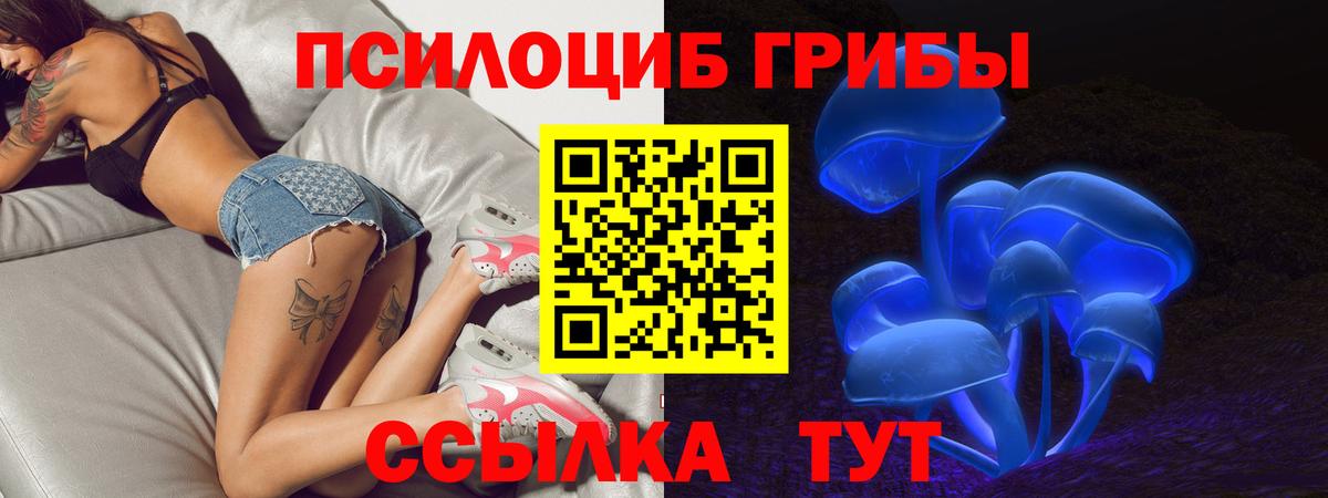 Галлюциногенные грибы MAGIC MUSHROOMS  Вход с VPN  Отрадное 
